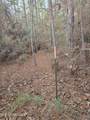 Lake Cypress Drive - Photo 12