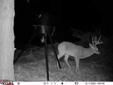 0186 Potluck Road - Photo 61