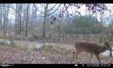 0186 Potluck Road - Photo 62