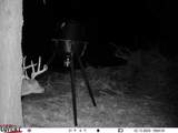 0186 Potluck Road - Photo 66