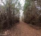  Rockport New Hebron Road - Photo 39