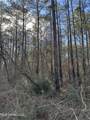 0 Emile Davis Road - Photo 10
