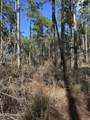 0 Emile Davis Road - Photo 4