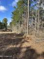 0 Emile Davis Road - Photo 5
