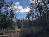0 Emile Davis Road - Photo 7