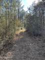 0 Emile Davis Road - Photo 9