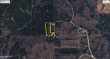  Triplett Ingram Road - Photo 1
