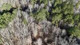  Triplett Ingram Road - Photo 10