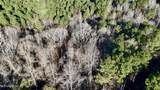  Triplett Ingram Road - Photo 11