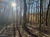  Triplett Ingram Road - Photo 4