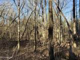  Triplett Ingram Road - Photo 7