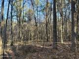  Triplett Ingram Road - Photo 8