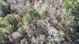  Triplett Ingram Road - Photo 9
