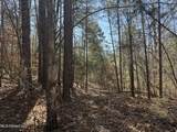  County Road 186 - Photo 10