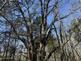  County Road 186 - Photo 11
