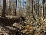  County Road 186 - Photo 16