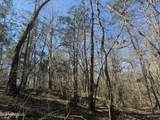  County Road 186 - Photo 24
