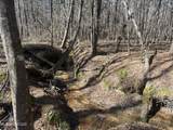 County Road 186 - Photo 6