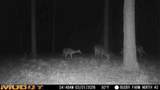  U.S. Highway 51 - Photo 130