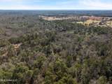 7.21 Acres Ms-44 - Photo 13