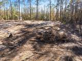 7.21 Acres Ms-44 - Photo 5