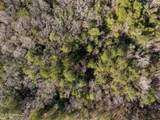 7.21 Acres Ms-44 - Photo 7