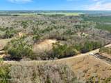 7.26 Acres Lott Town Road - Photo 10