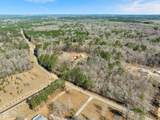 7.26 Acres Lott Town Road - Photo 11
