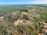 7.26 Acres Lott Town Road - Photo 15