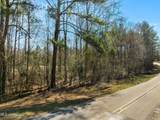 7.26 Acres Lott Town Road - Photo 3