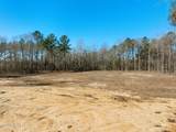 7.26 Acres Lott Town Road - Photo 6