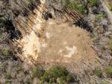 7.26 Acres Lott Town Road - Photo 8