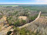 7.26 Acres Lott Town Road - Photo 9