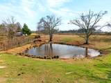 67 Angie Road - Photo 21