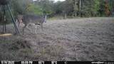 67 Angie Road - Photo 27