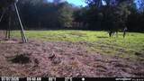 67 Angie Road - Photo 29