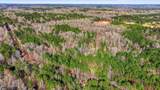  Cleary Road - Photo 20