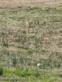  Alden Lake Dr. - Photo 7