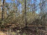 Lot197 Woodland Drive - Photo 1