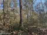 Lot197 Woodland Drive - Photo 2