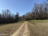 114 Huff Lane - Photo 43