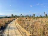  Underwood Ball Road - Photo 15