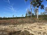  Underwood Ball Road - Photo 5