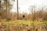  County Road 8 - Photo 11