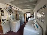 308 Santini Street - Photo 6