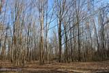 1815 Craft Road - Photo 27