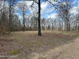 10.2 Acres Barnes Road - Photo 4