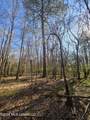  Bogue Chitto Road - Photo 11
