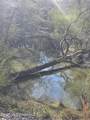  Bogue Chitto Road - Photo 15