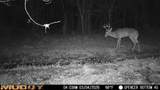  Bogue Chitto Road - Photo 2